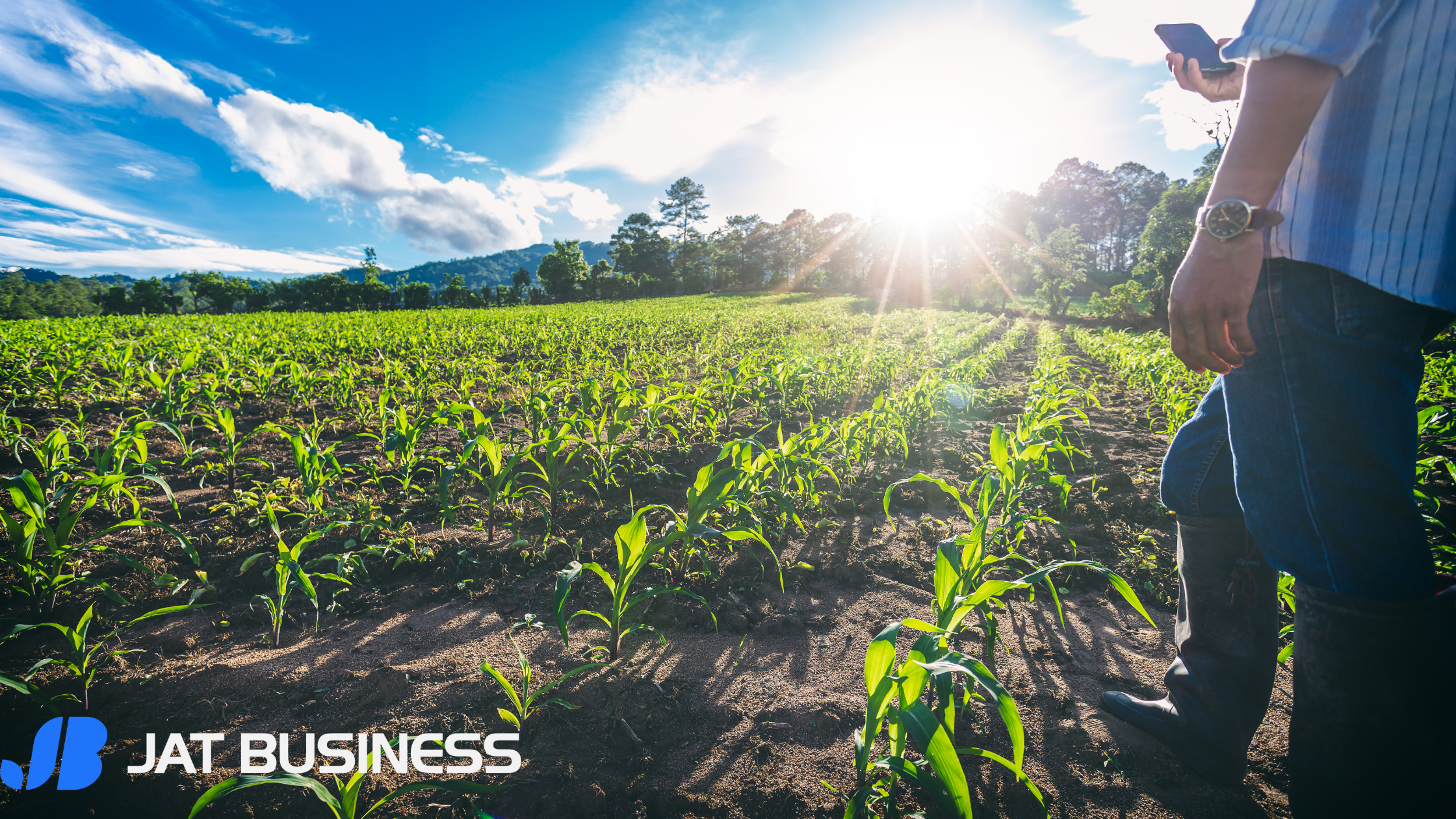 Tendências do Mercado no Agronegócio e Indústrias de Transformação: Adaptando-se à Evolução do Setor